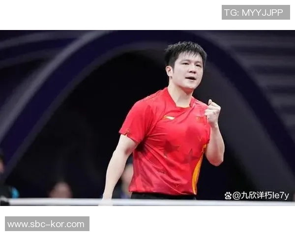 杭州乒乓球队战术解析：聚焦技术与团队协作的完美结合